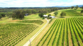 'Vineyard Escape Farm Stay'